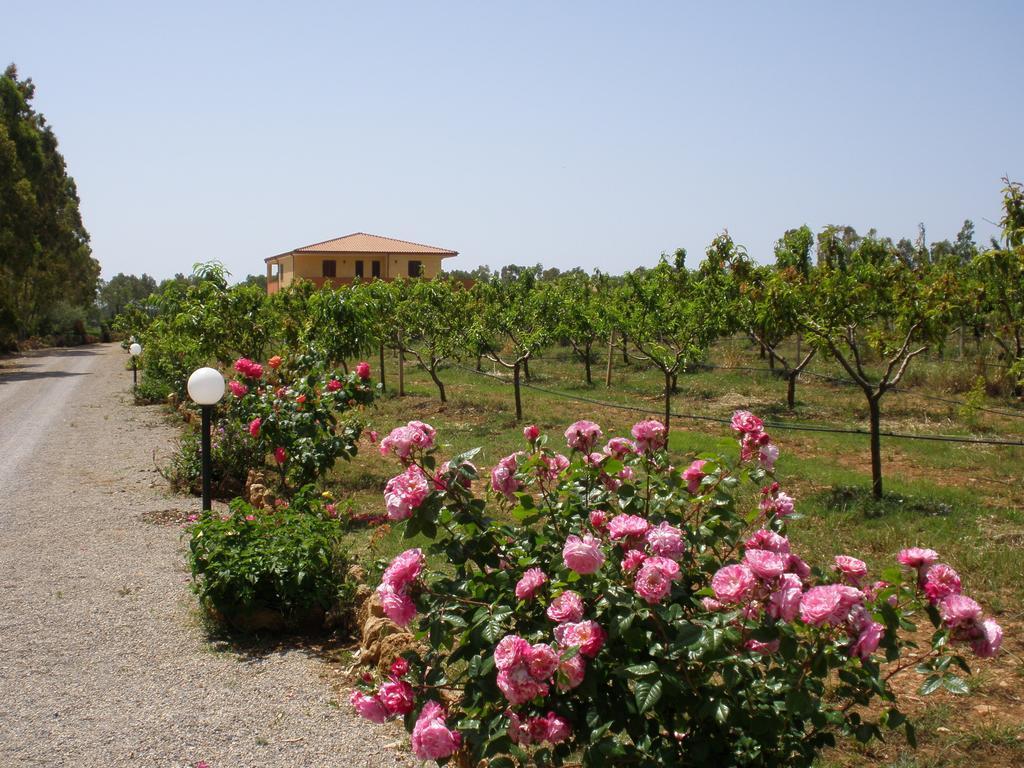 Bed And Breakfast Le Camelie Alguer Exterior foto