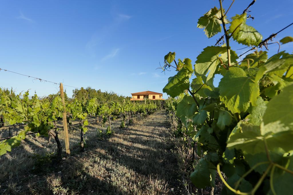 Bed And Breakfast Le Camelie Alguer Exterior foto